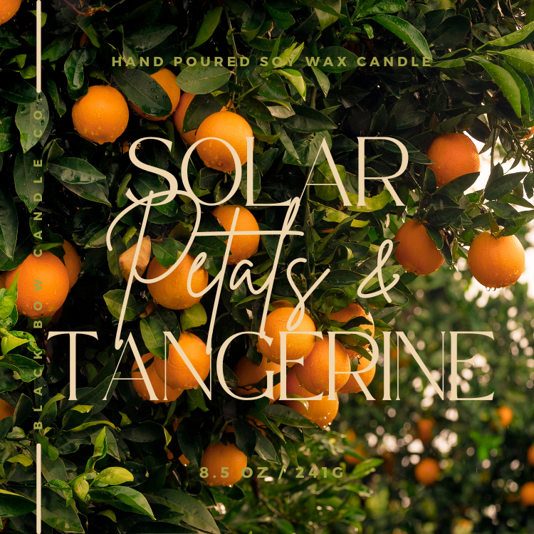 Solar Petals & Tangerine